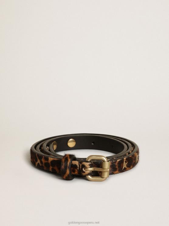 FDVPX308 Golden Goose mujer cinturón molly de piel de potro con estampado de leopardo negro y marrón y tachuelas en forma de estrella