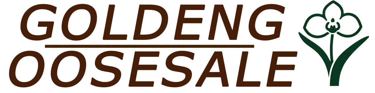 Goldengooseperu